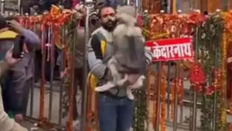 dog Kedarnath 1