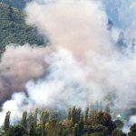 forest fire jammu kashmir