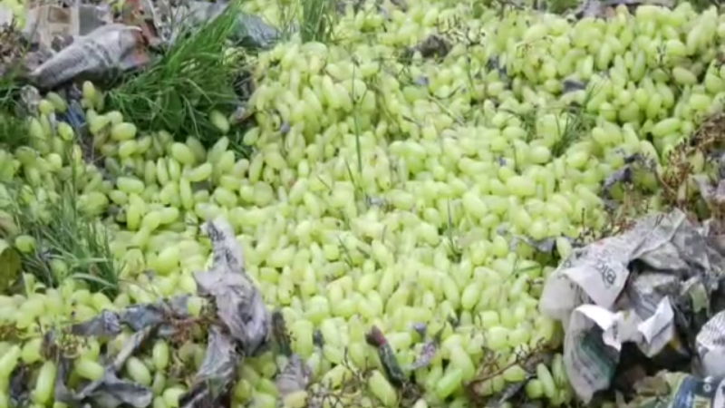 grapes