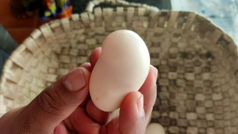 mangaluru egg