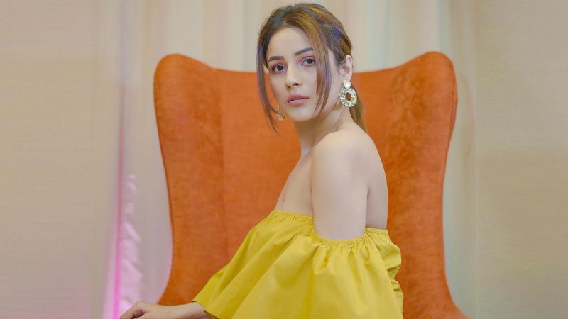 shehnaaz gill 3