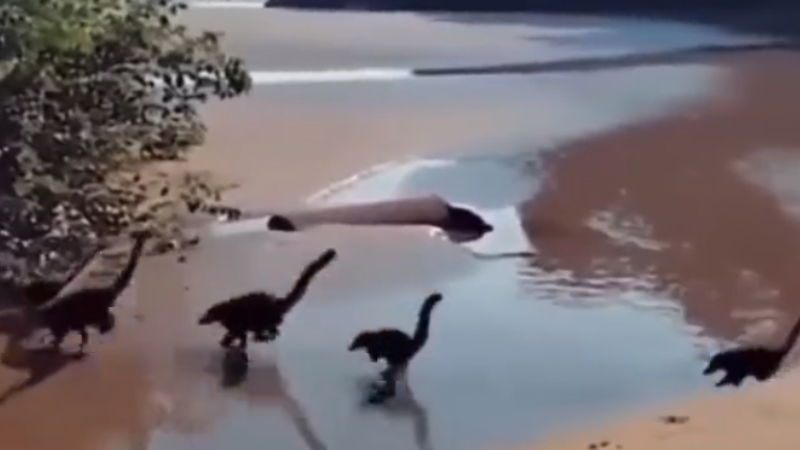 video viral dinosaurs