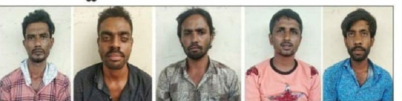 CNG MURDER PKG