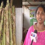 CNG WOMEN