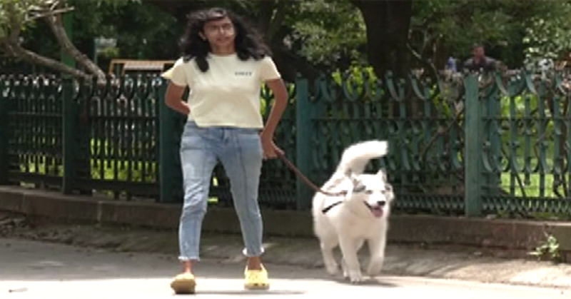 CUBBON PARK 1