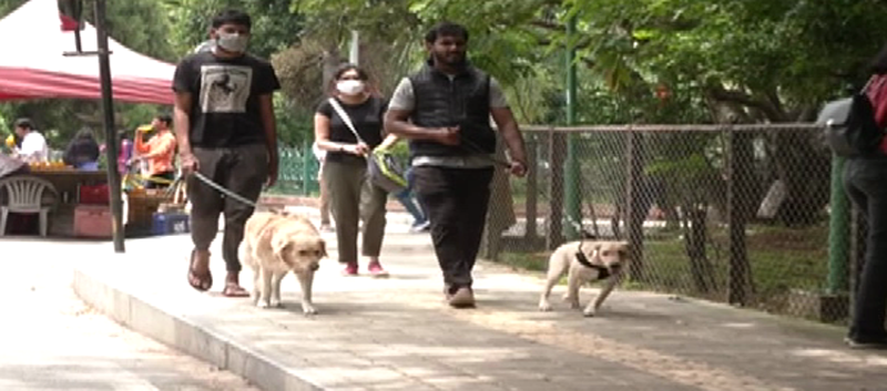 CUBBON PARK 2