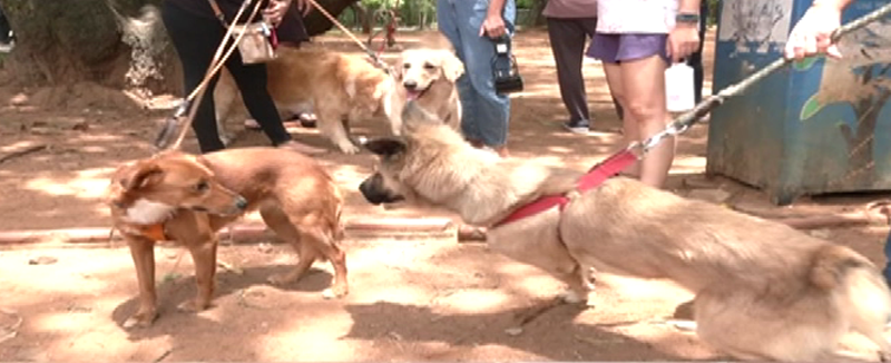 CUBBON PARK