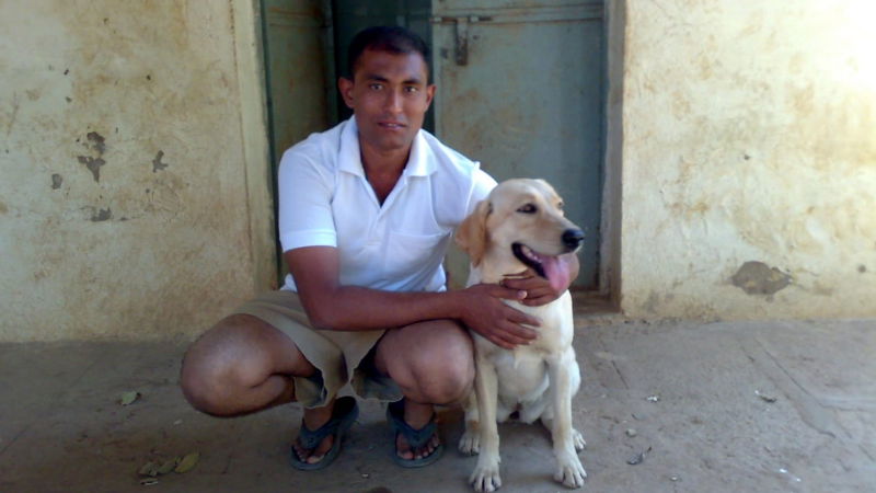 Chikkaballapur dog 1