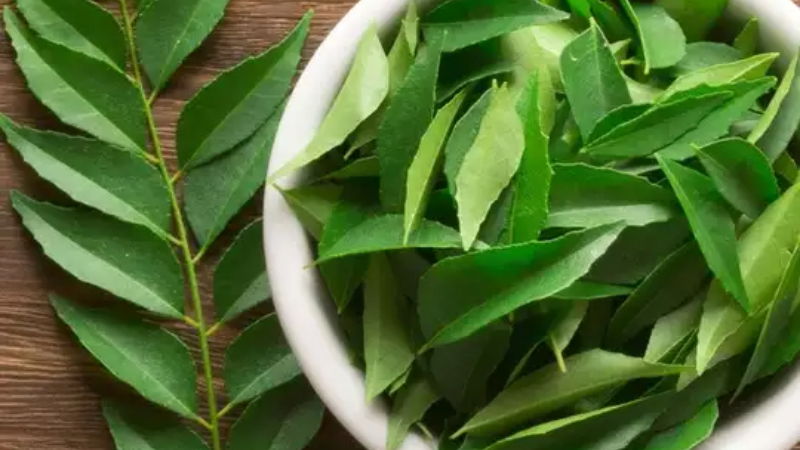 Curry tree