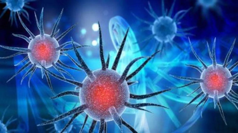 H1N1