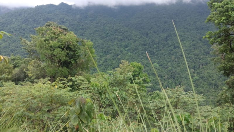 Kodagu earthquake