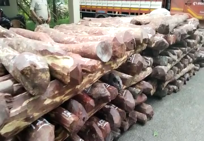 MNG RED SANDALWOOD 5