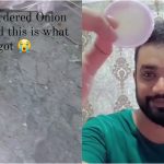 Online Book Onion Rings Raw Onion 2