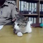 POLICE 2
