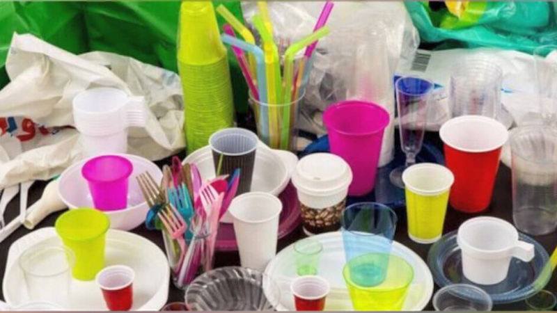 Plastic ban 3