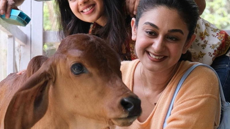 arjun sarja 3