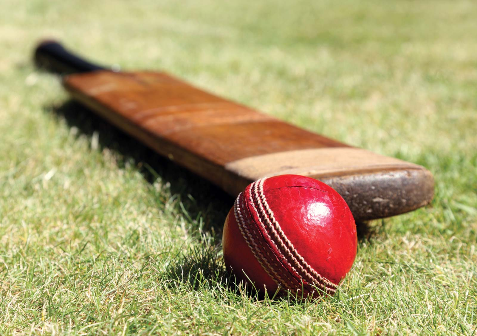cricket