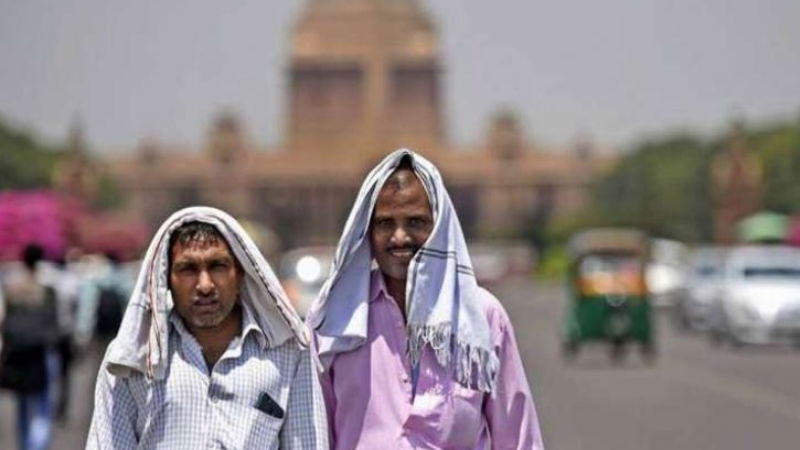delhi 1