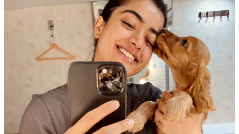 dog with rashmika mandanna 1