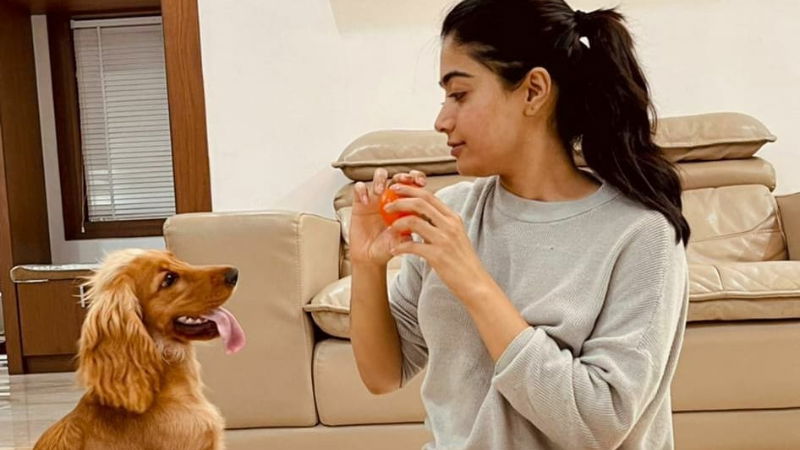 dog with rashmika mandanna 4