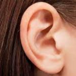 ear