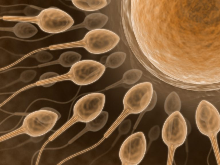 eggs 2