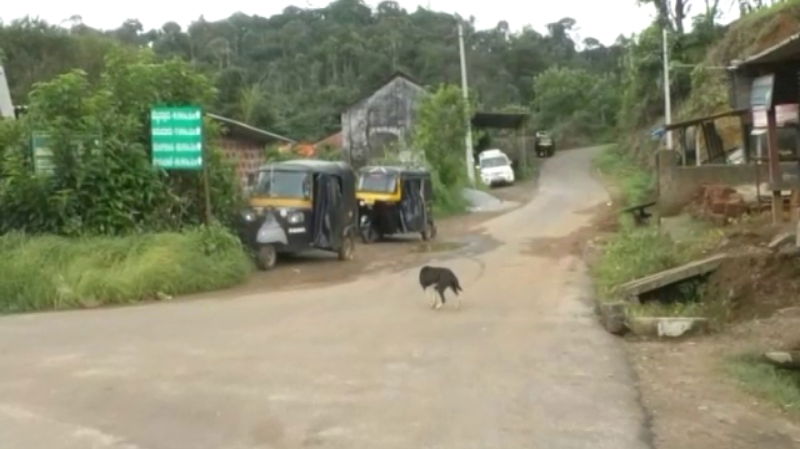 kodagu