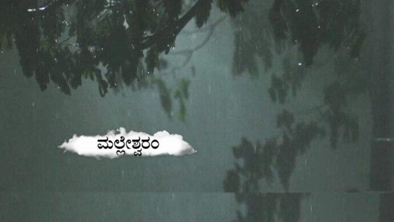 rain 3 1
