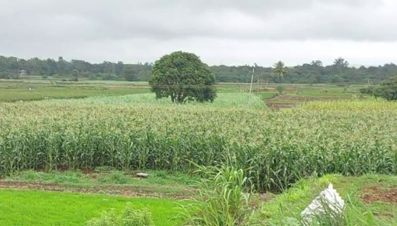 Belagavi