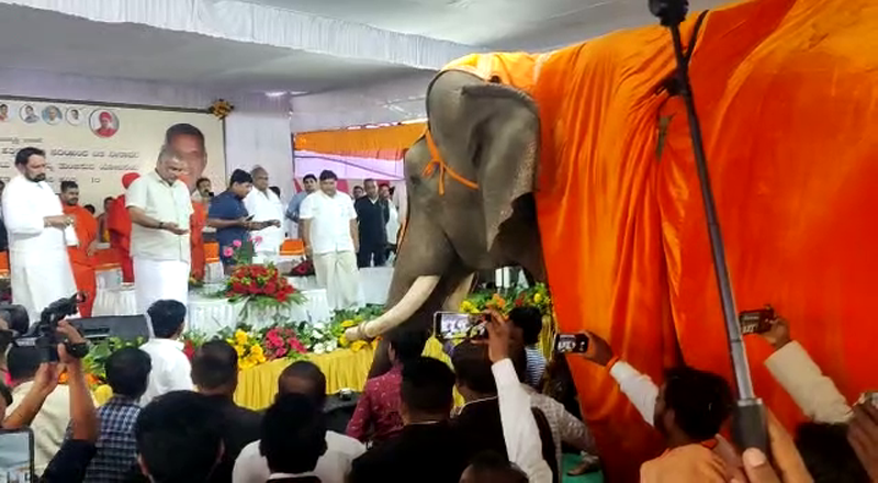 CKD ELEPHANT