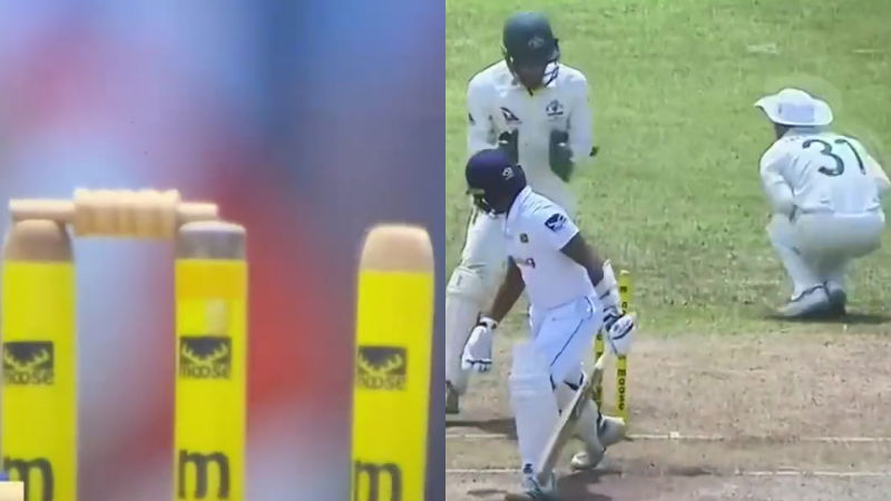 DAVID WARNER