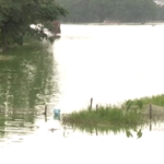 HALSUR LAKE 2