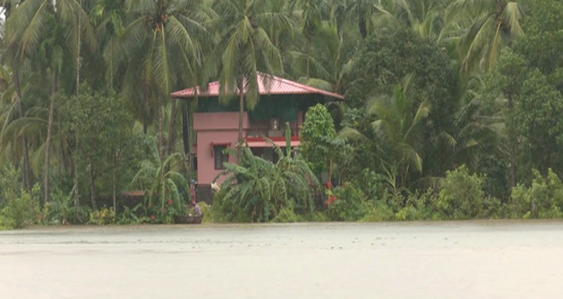 MNG RAIN