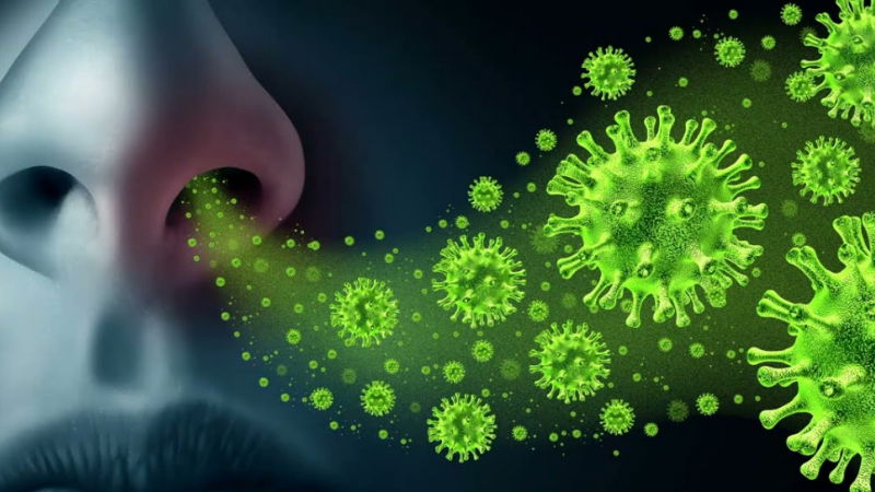 VIRUS 1