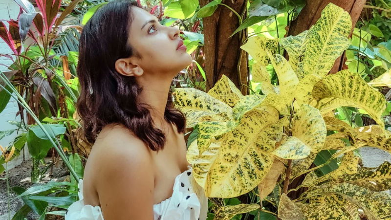 amala paul 3