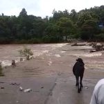chikkamagaluru rain kalasa horanadu