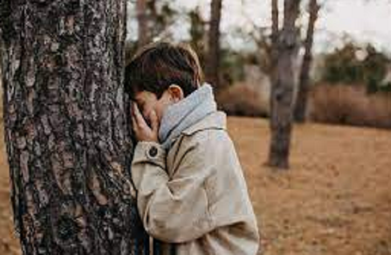 hide and seek