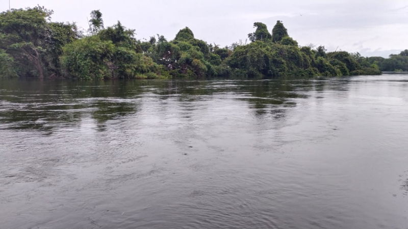mandya ranganatittu 2