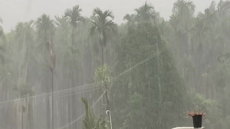 rain 1 1