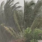 rain 2