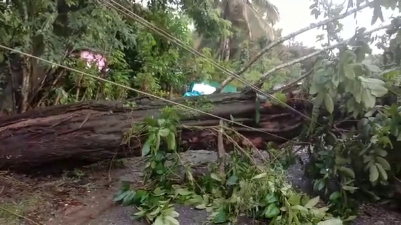 CHIKKAMAGALURU RAIN 2