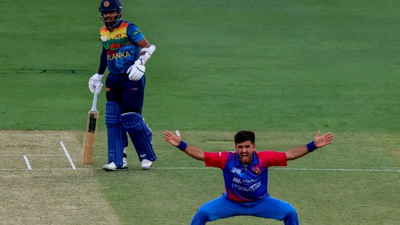 CRICKET 3