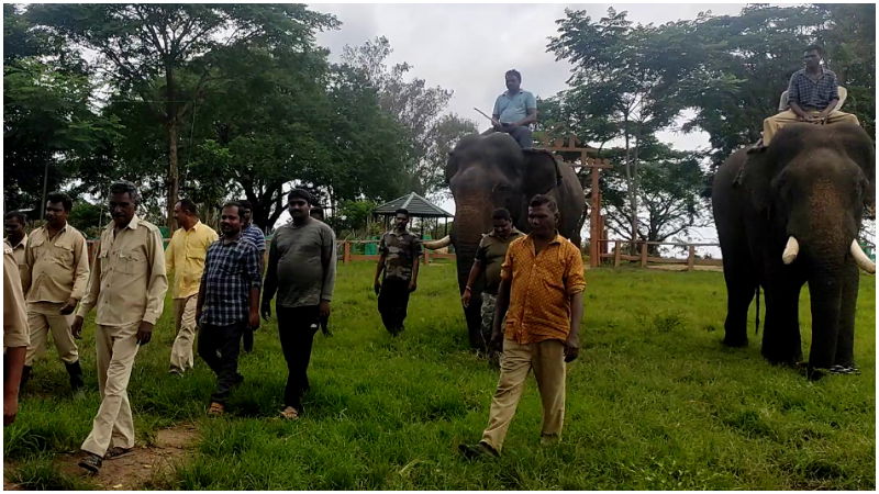 Chamundeshwari Dasara Mysore Madikeri Mawta 3
