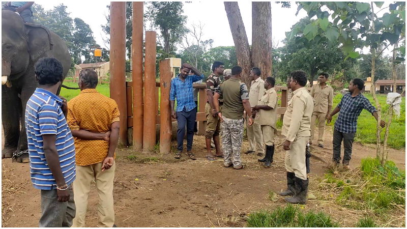 Chamundeshwari Dasara Mysore Madikeri Mawta 4