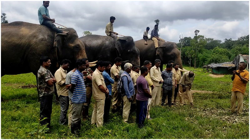 Chamundeshwari Dasara Mysore Madikeri Mawta