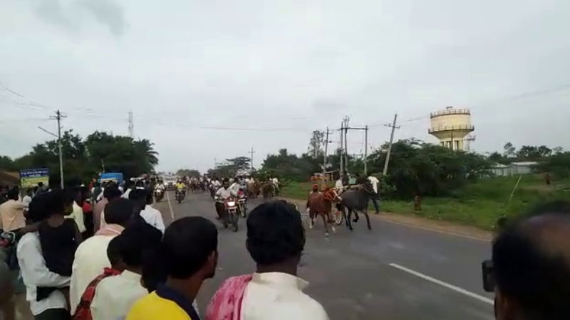 Chikkodi Dad Birthday Grand Party Belgaum Horse Race 2