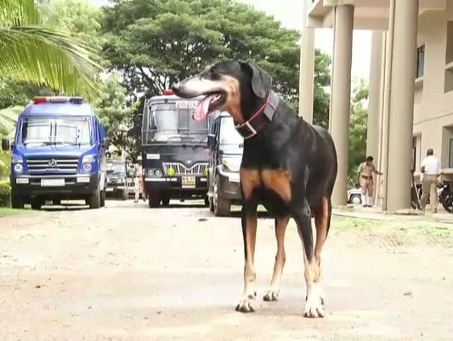 DVG POLICE DOG DEATH AV 5