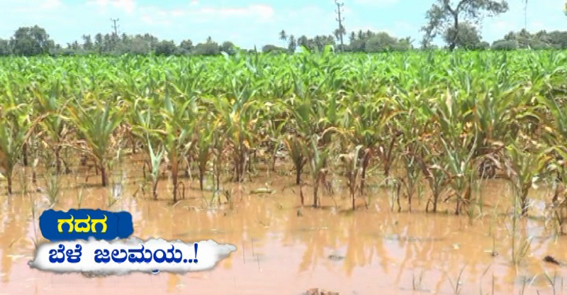 RAIN GADAG