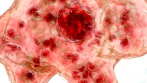 VIRUS1