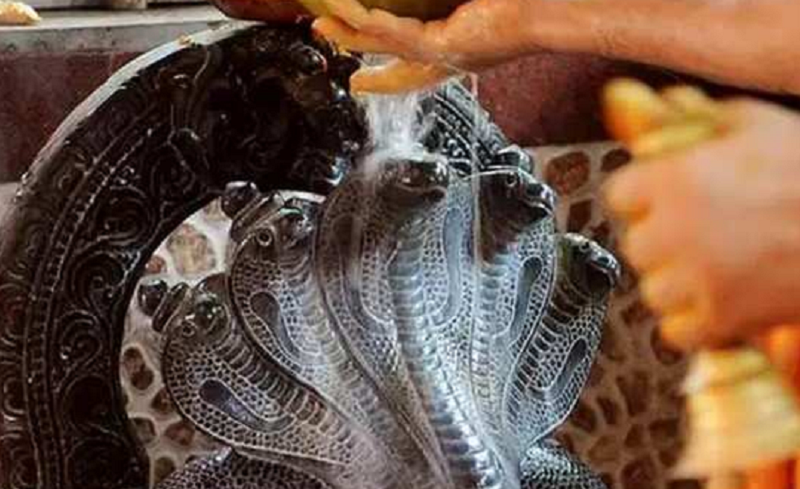 naga panchami 1
